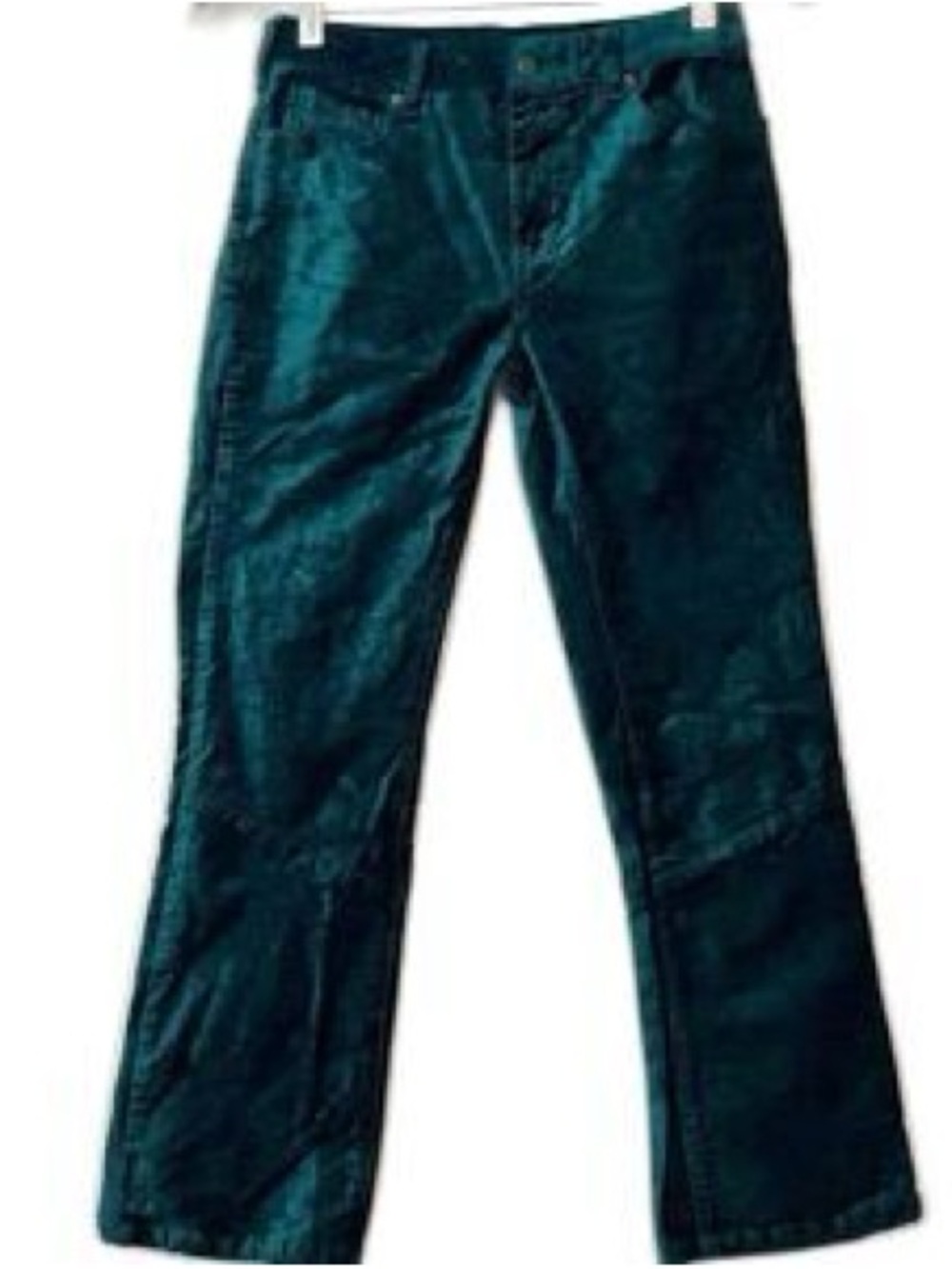 Free People Teal Velvet Pants